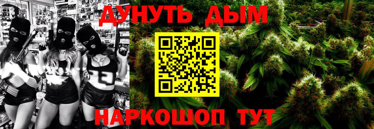 Шишки марихуана сатива Сургут